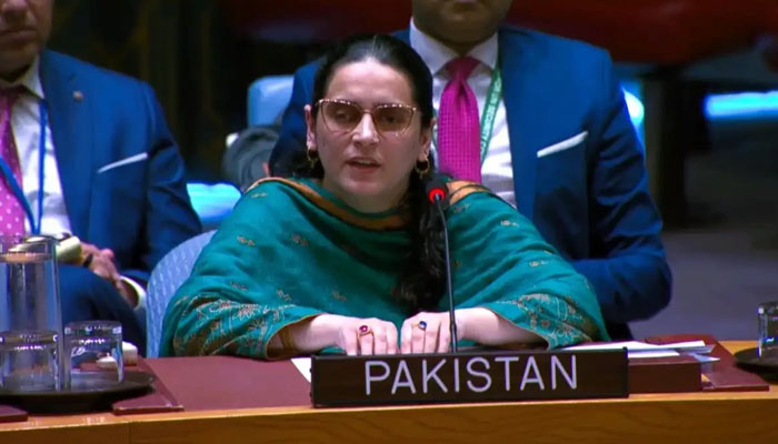 صائمہ سلیم کا اقوام متحدہ میں بھارت کے خلاف سخت موقف — دہشت گردی سے کشمیر تک، ہر معاملہ زیرِ بحث