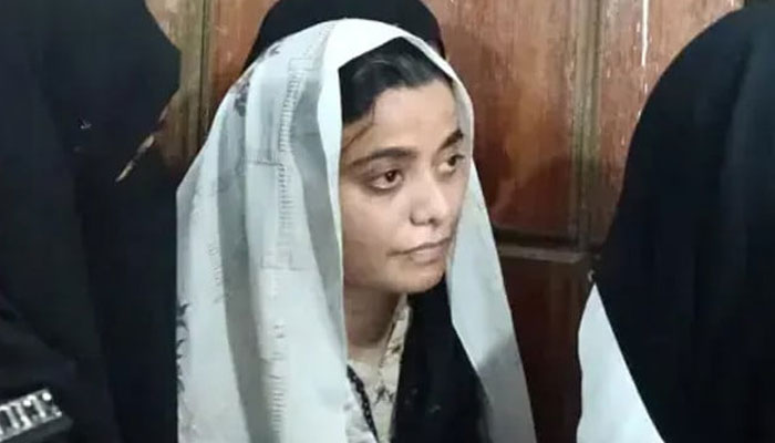 پنکی کا رابطہ نیٹ ورک صرف سڑک تک محدود نہیں — فہرست میں بڑے نام بھی ہیں
