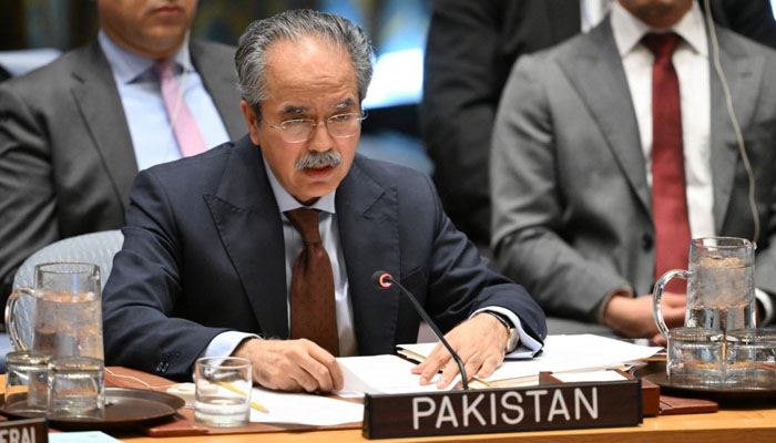 اقوام متحدہ کی سلامتی کونسل نے پاکستان کی تیار کردہ سالانہ رپورٹ متفقہ طور پر منظور کر لی