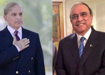 کشمیر صورتحال کا اثر شہباز شریف اور زرداری کی بجٹ ملاقات موخر