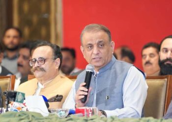 یوم استحصال کشمیر پر وفاقی وزیر عبدالعلیم خان کا بھارتی اقدامات کے خلاف سخت ردعمل